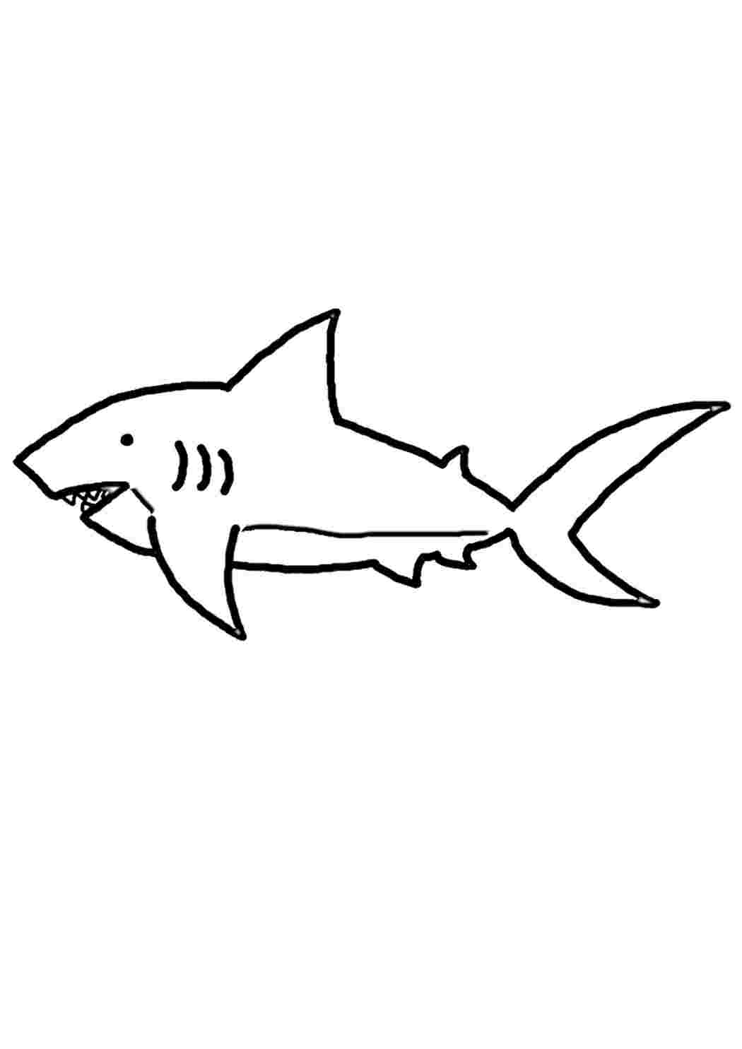 Раскраски Shark-mustavalkoinen kuva lapsille. Картинки раскраски. Shark-mustavalkoinen kuva lapsille. Разукраски.