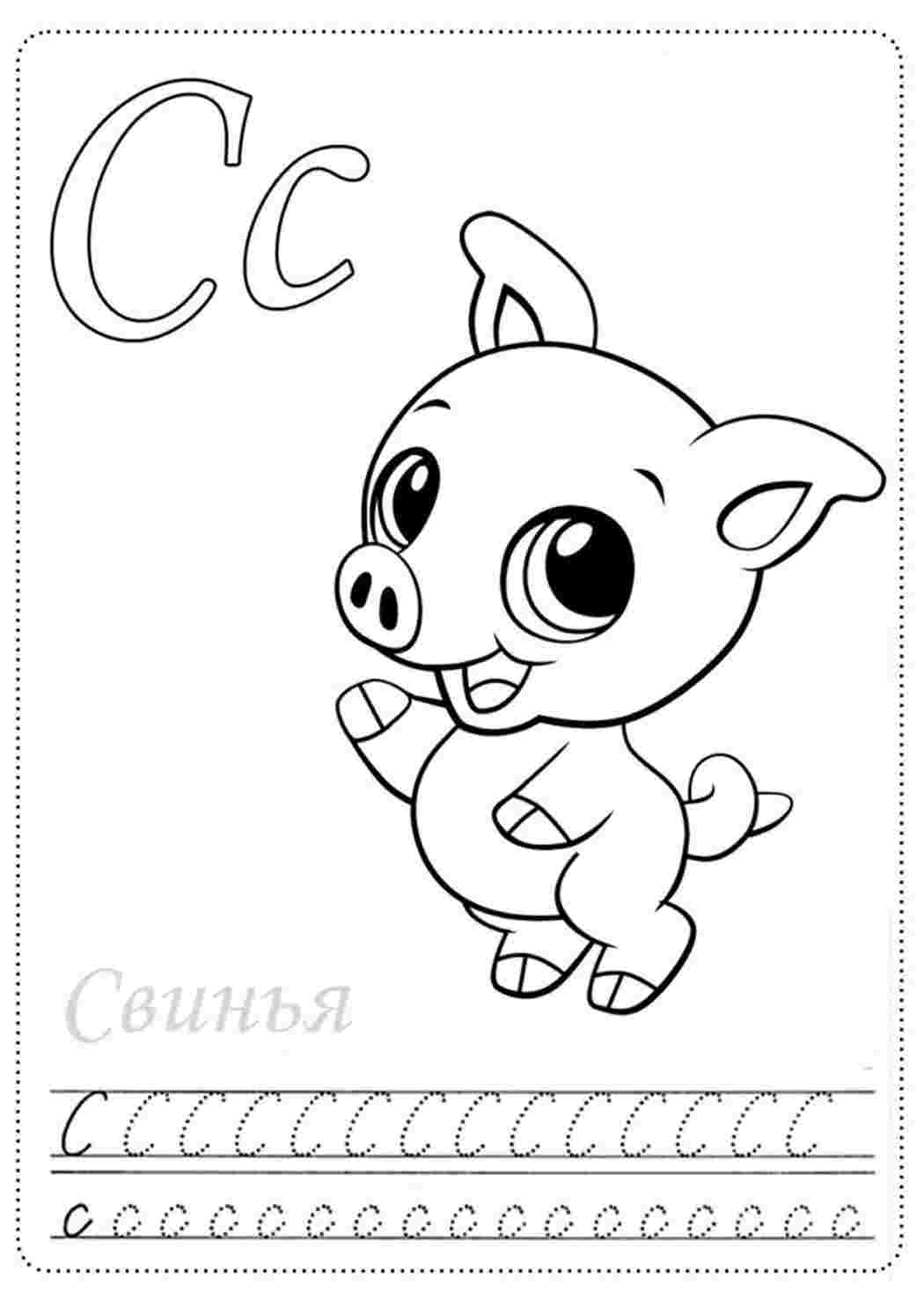 Буква "С" свинка. Скачать раскраски.