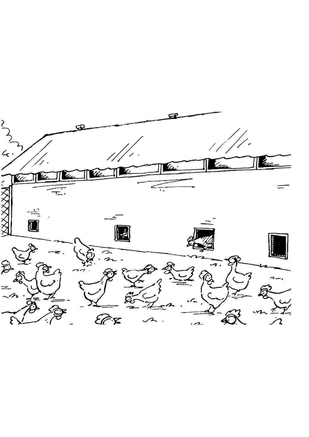 Раскраски раскраска ферма. Красивые раскраски. раскраска ферма. Скачать раскраски.