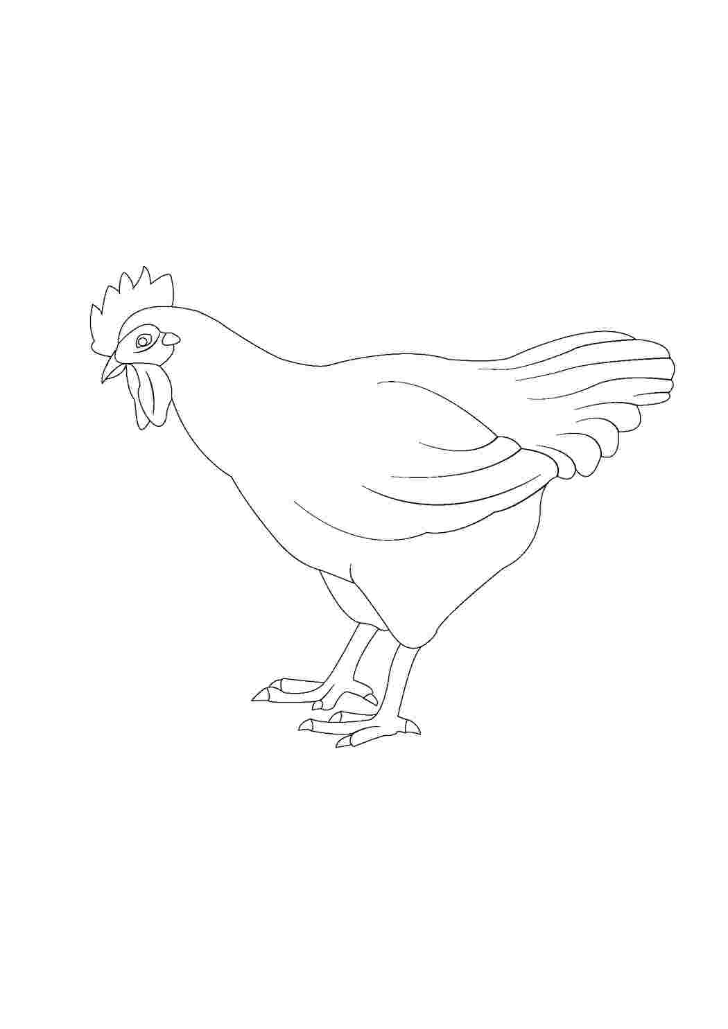 Раскраска Курица и цыплятки - распечатать бесплатно