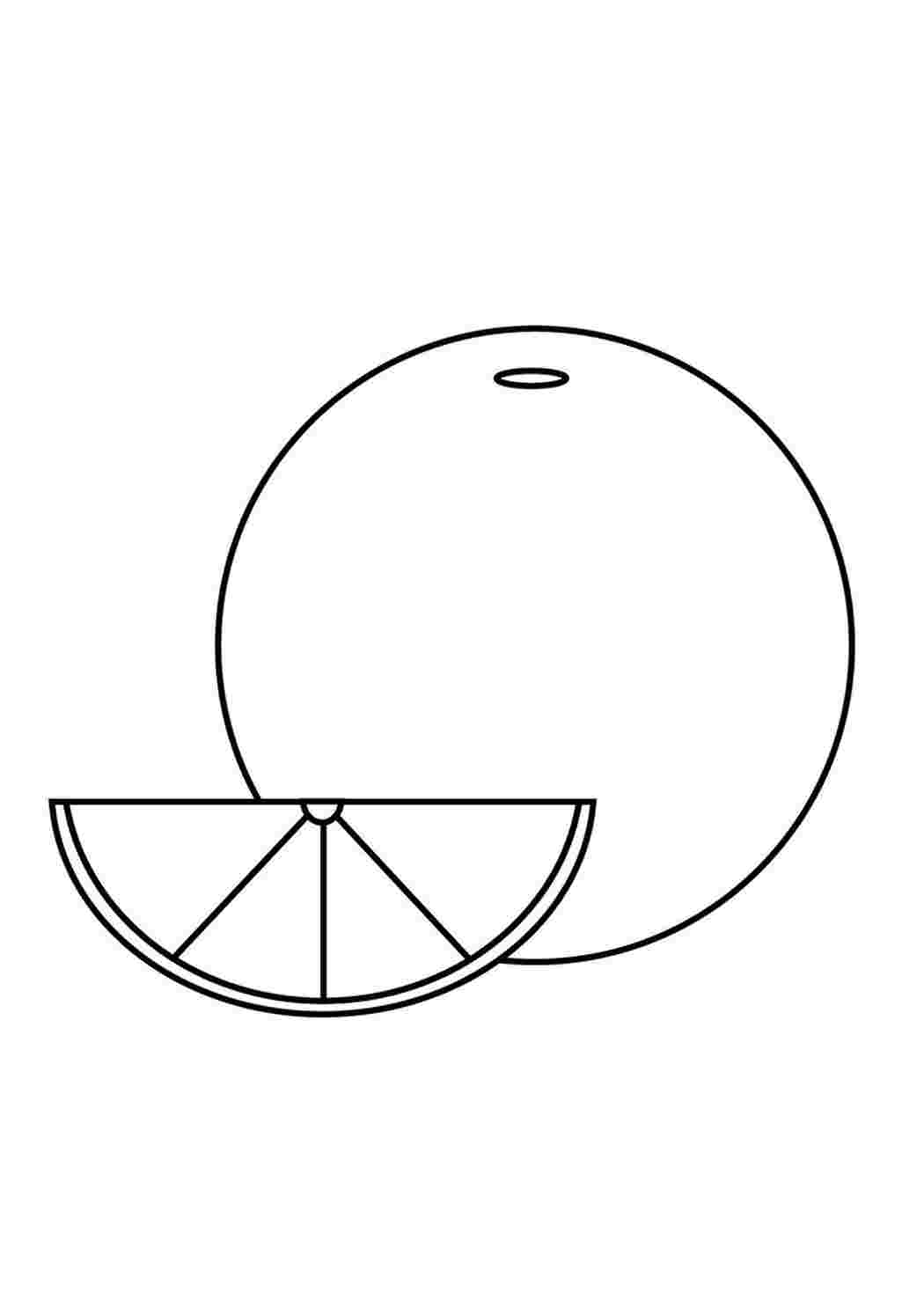Раскраски раскраска апельсин. Бесплатно найти раскраску. раскраска апельсин. Распечатать раскраски на сайте.