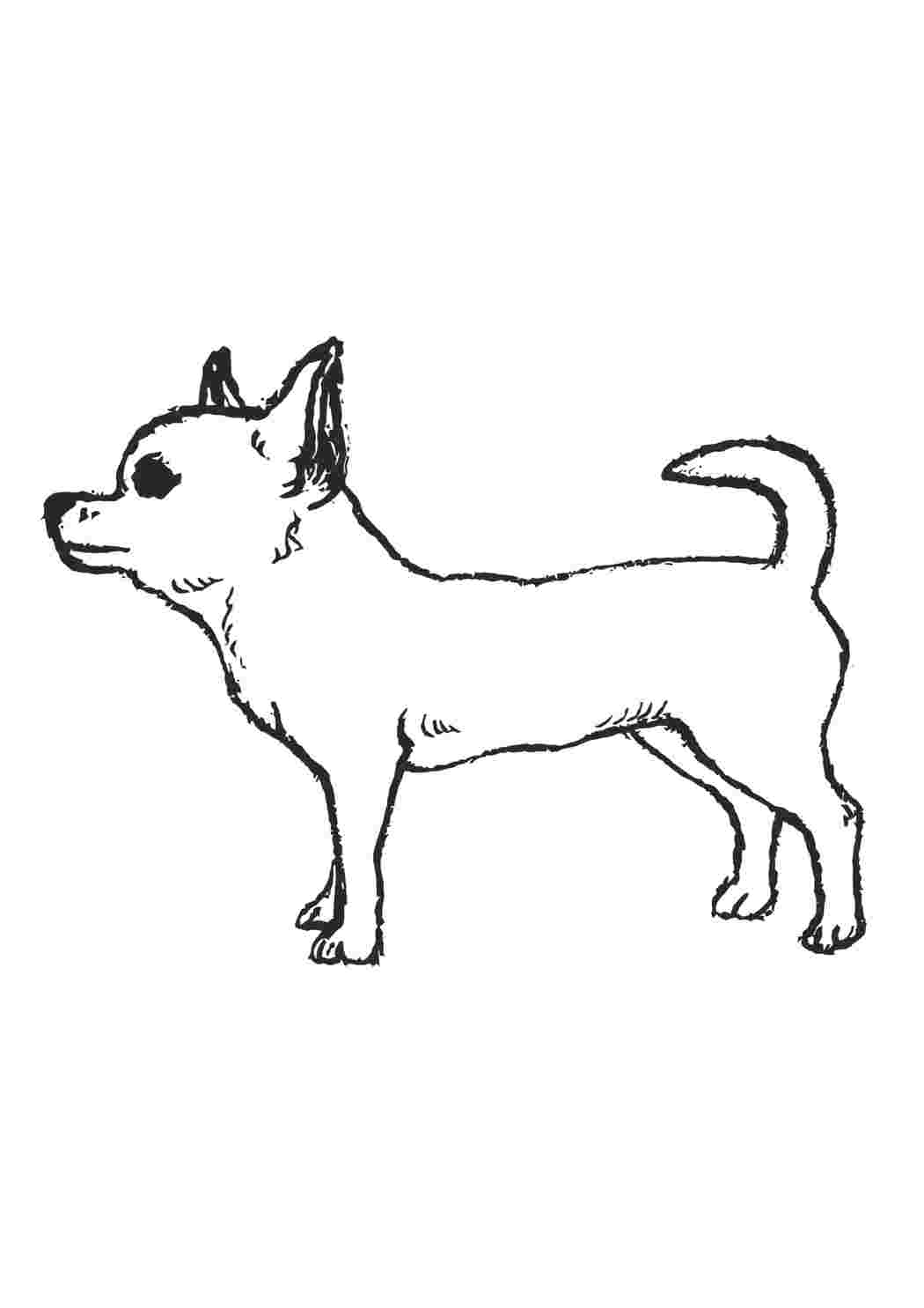 Рисунок на тему лучший друг собака (46 фото) » рисунки для срисовки на фотодетки.рф