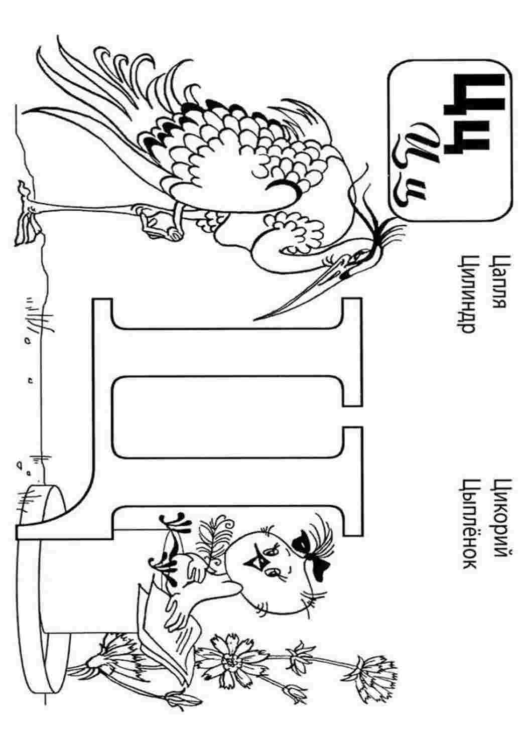 Раскраски Буква Ц со словами. Картинки раскраски. Буква Ц со словами. Раскраски без СМС.