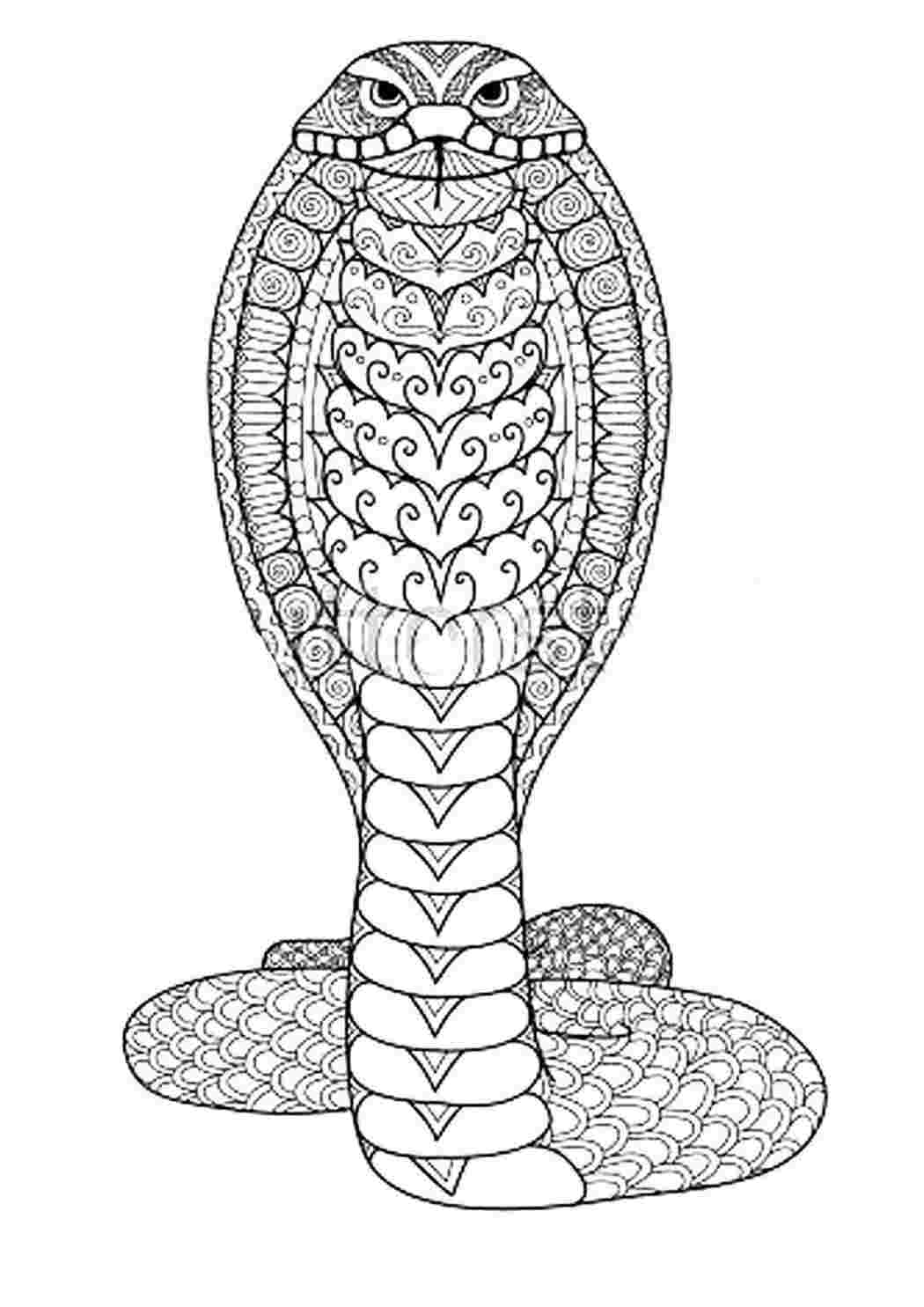 Раскраски раскраски животные змеи раскраска кобра. Раскраска для печати. раскраски животные змеи раскраска кобра. Красивые раскраски.