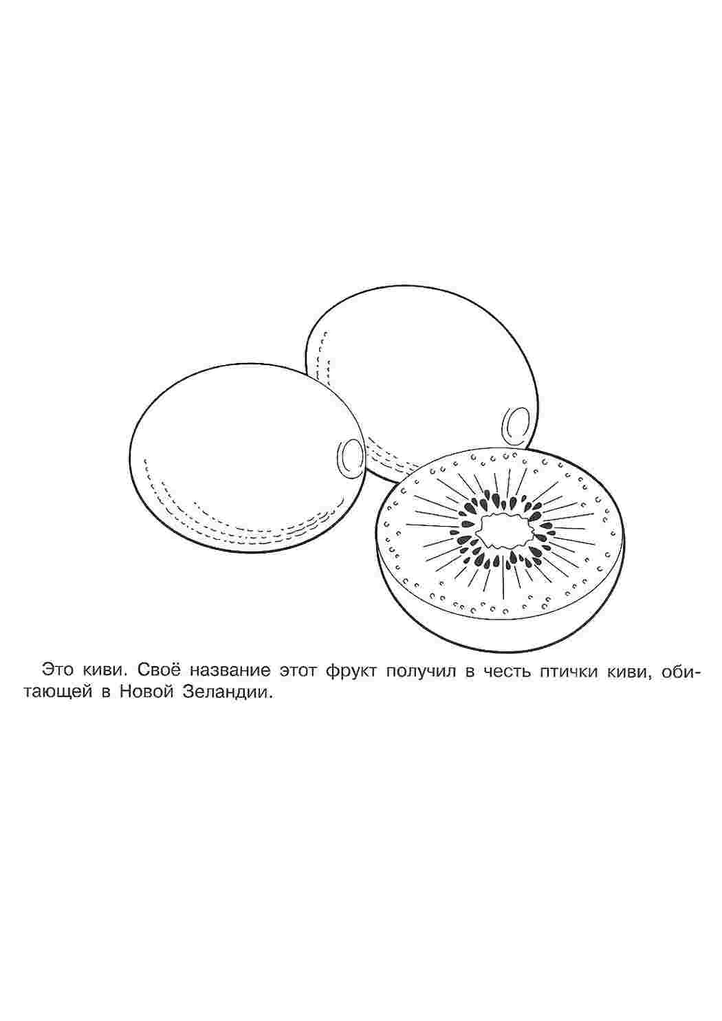 раскраска киви. Раскрашивать онлайн.
