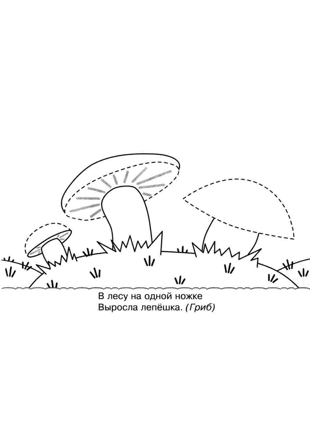 Раскраски загадки