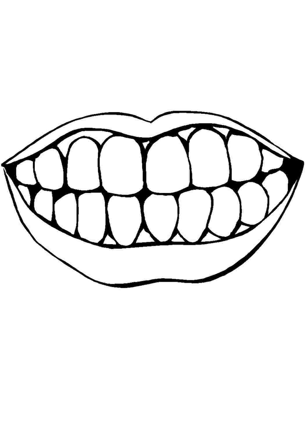 Зуб раскраска