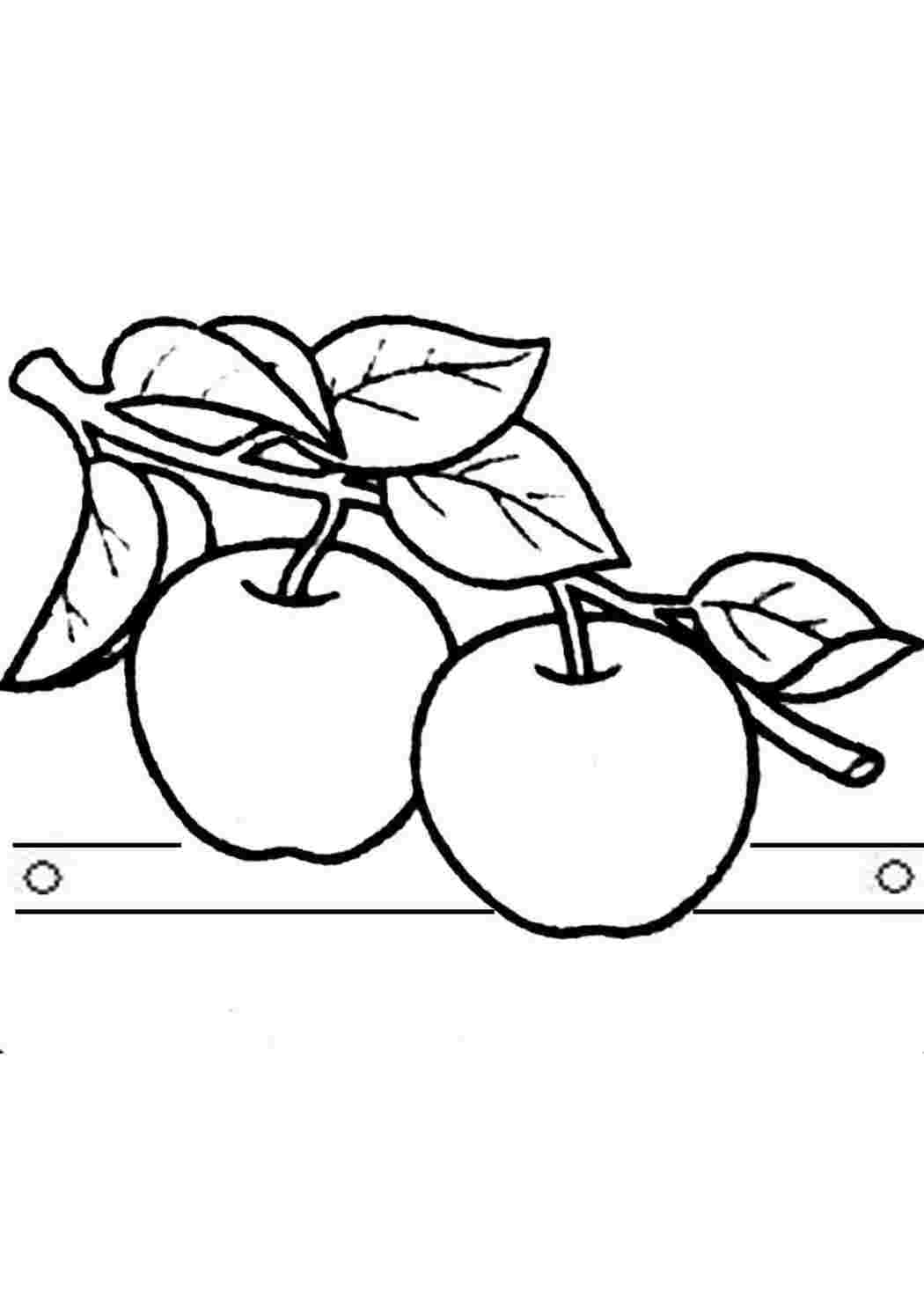 раскраска яблоко. Картинки раскраски.