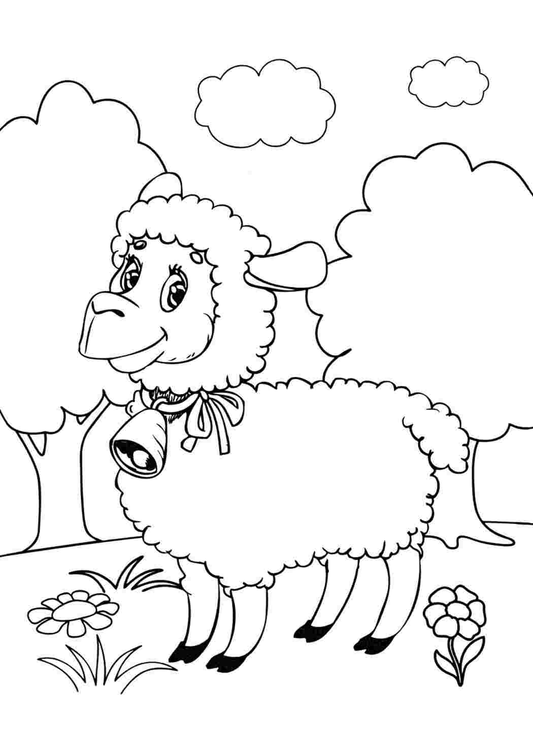 Раскраски животные овечки. Скачать раскраски бесплатно. животные овечки. Распечатать раскраски на сайте.