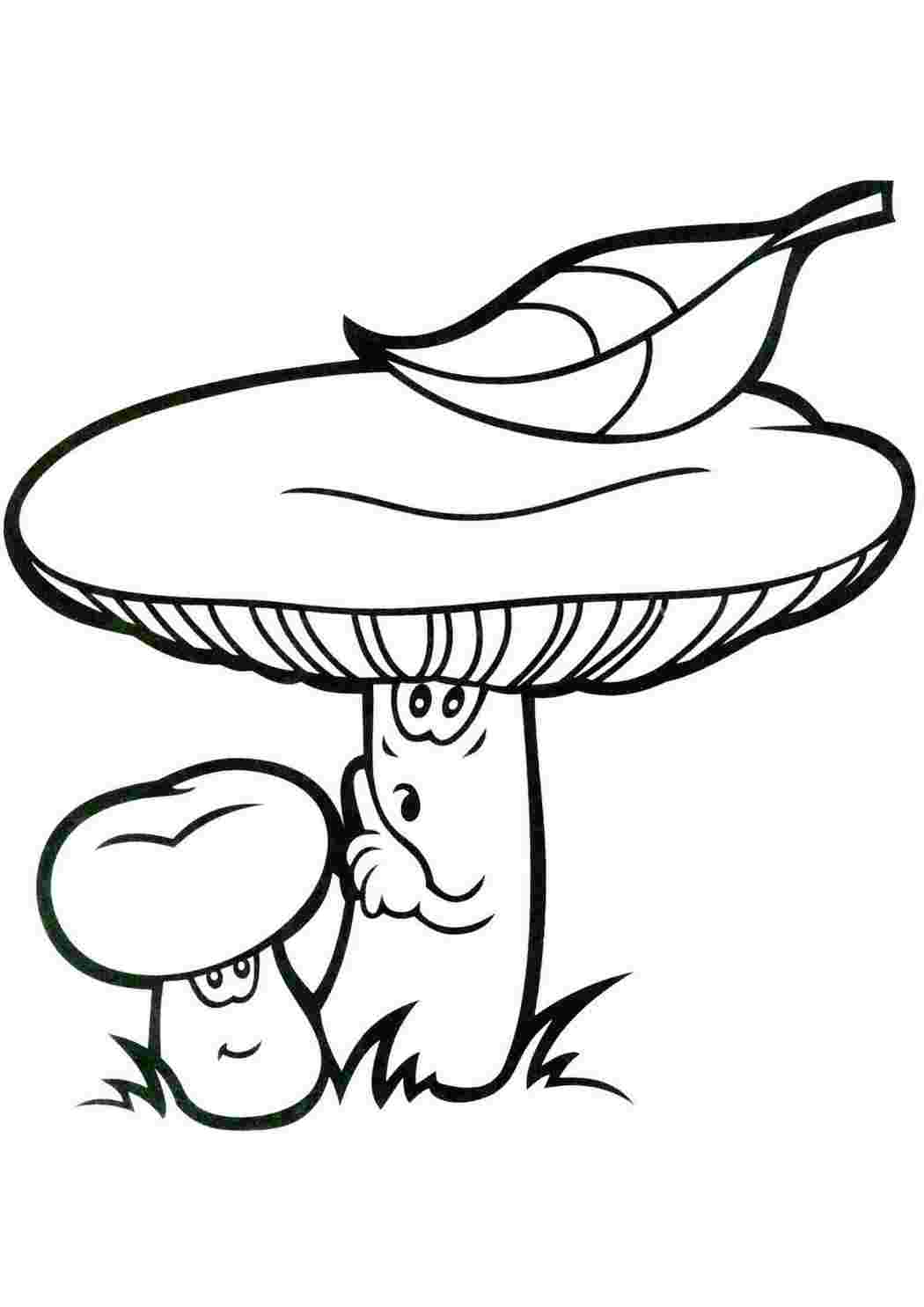 Как нарисовать гриб мухомор | Рисунок и раскраска |How to draw a mushroom | Drawing and coloring |