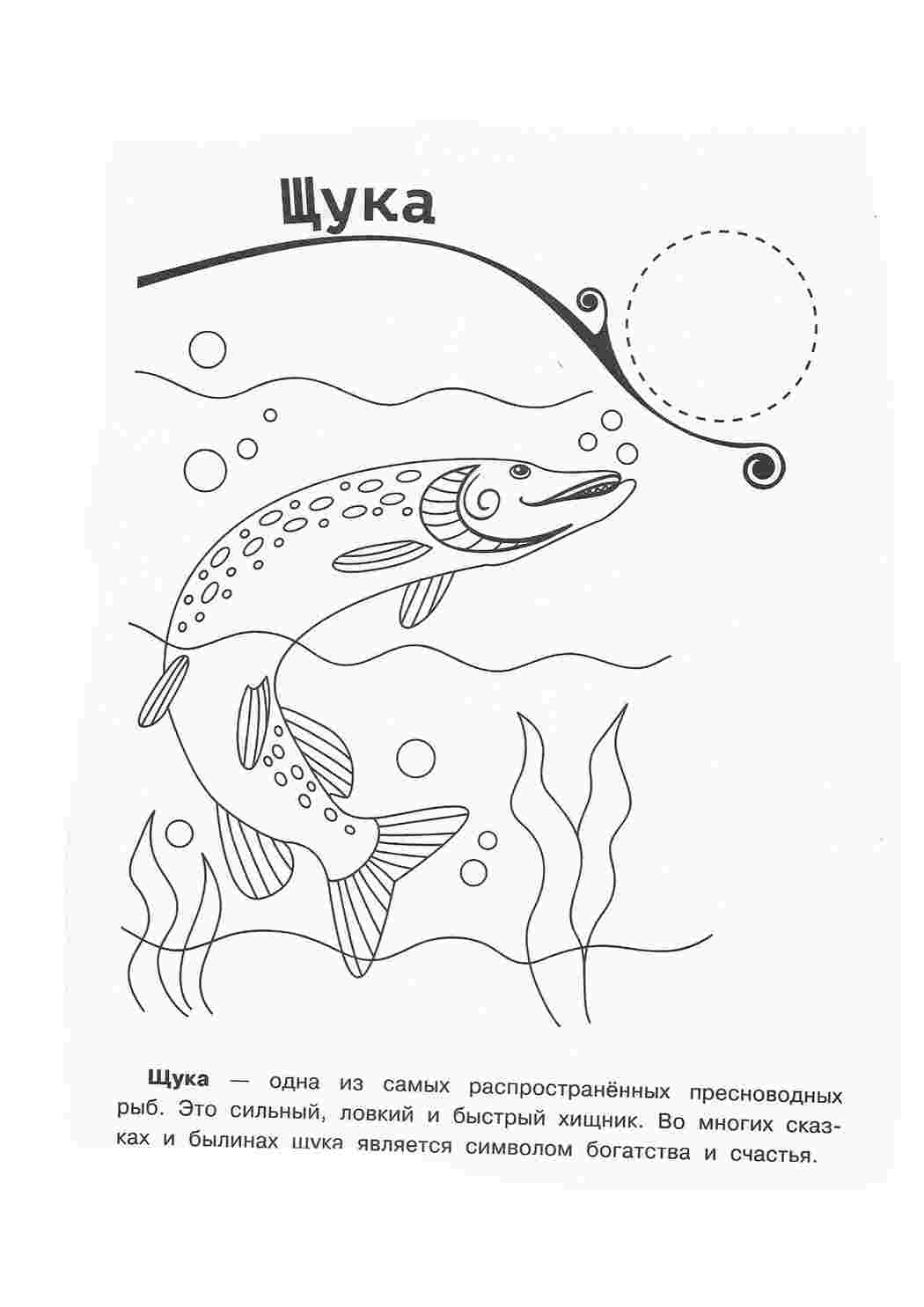 раскраски природа раскраска пруд. Раскрашивать онлайн.