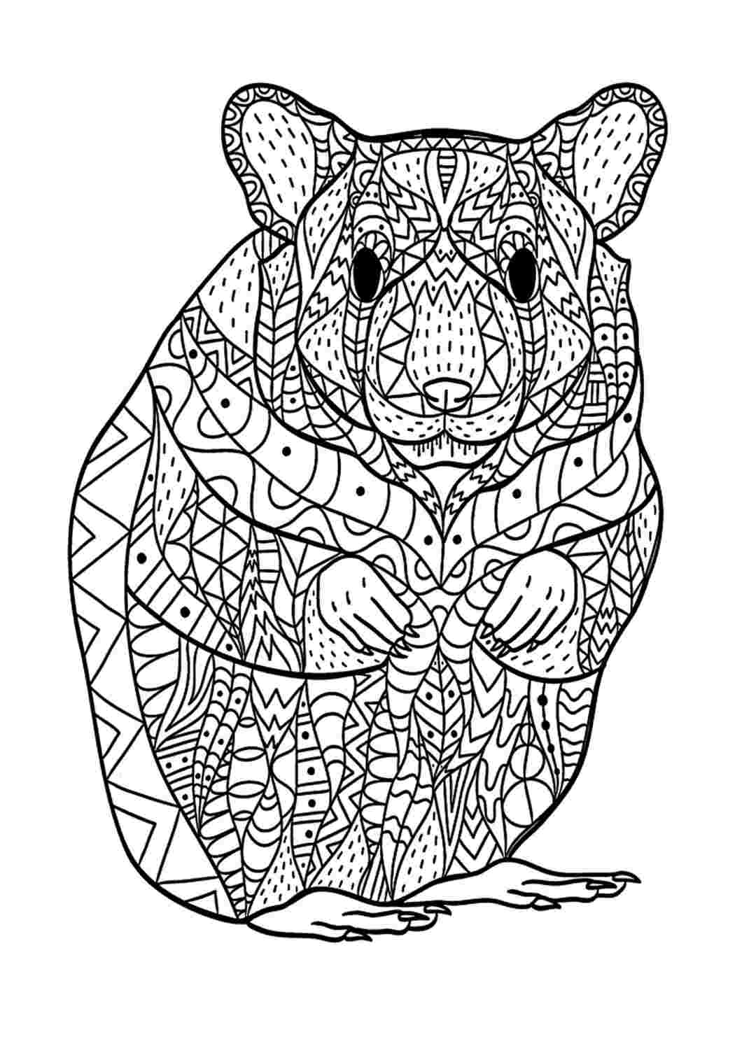 Stressinestohamsteri. Скачать раскраски бесплатно.