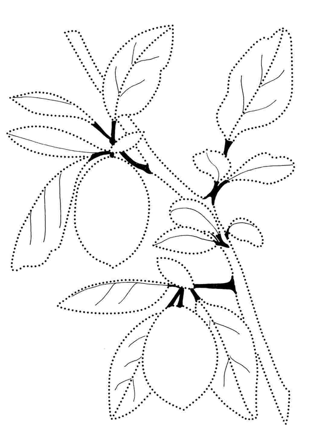 Раскраски Лимон по точкам. Интересные раскраски. Лимон по точкам. Бесплатные раскраски.