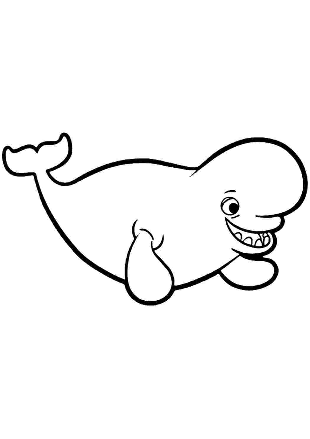 Раскраски Dolphin Bailey. Онлайн раскраски. Dolphin Bailey. Распечатать раскраски на сайте.