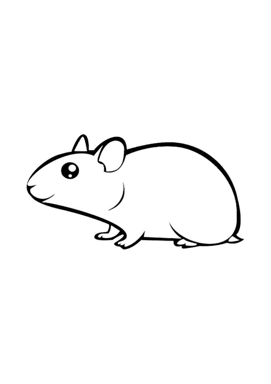 Раскраски Hamsteri nuuhkii uutta maastoa. Раскраски без СМС. Hamsteri nuuhkii uutta maastoa. Хорошие раскраски.