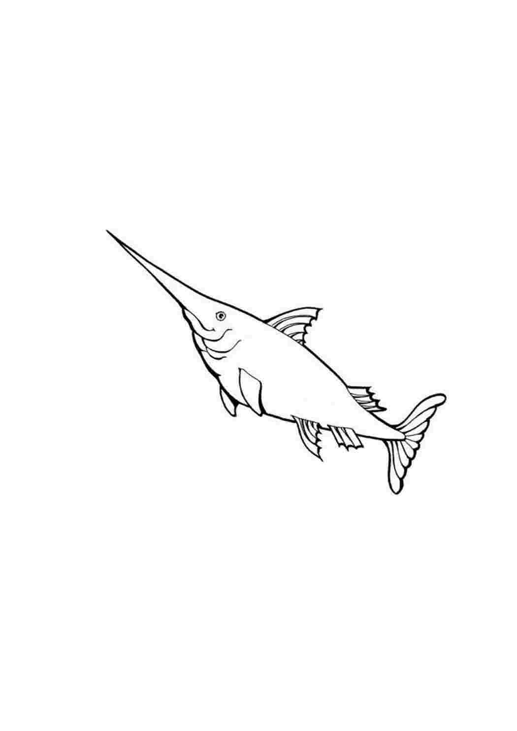 Раскраски раскраски животные рыбки. Распечатать раскраски на сайте. раскраски животные рыбки. Онлайн раскраска.