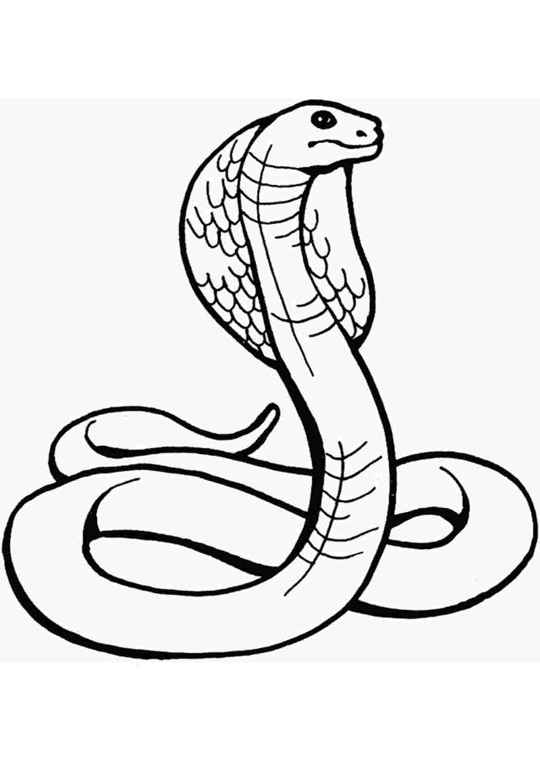 Картинки змей для срисовки (31 фото) 🔥 Прикольные картинки и юмор