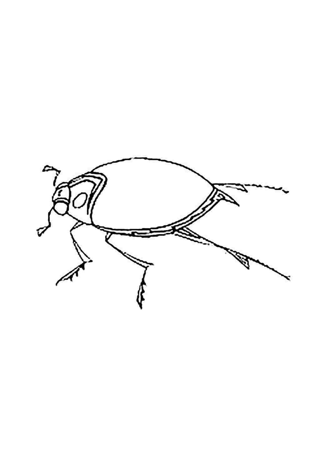 Раскраски раскраски животные раскраска жук. Раскрашивать онлайн. раскраски животные раскраска жук. Бесплатные раскраски.