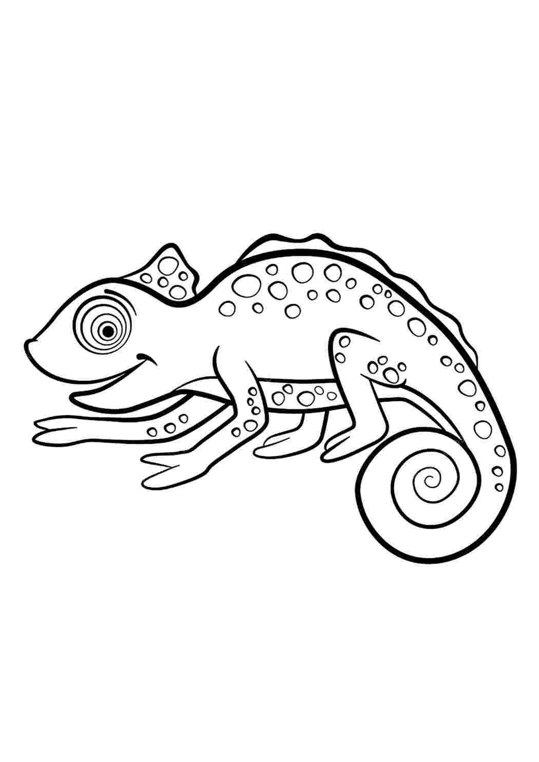 раскраски животные. Разукраска.