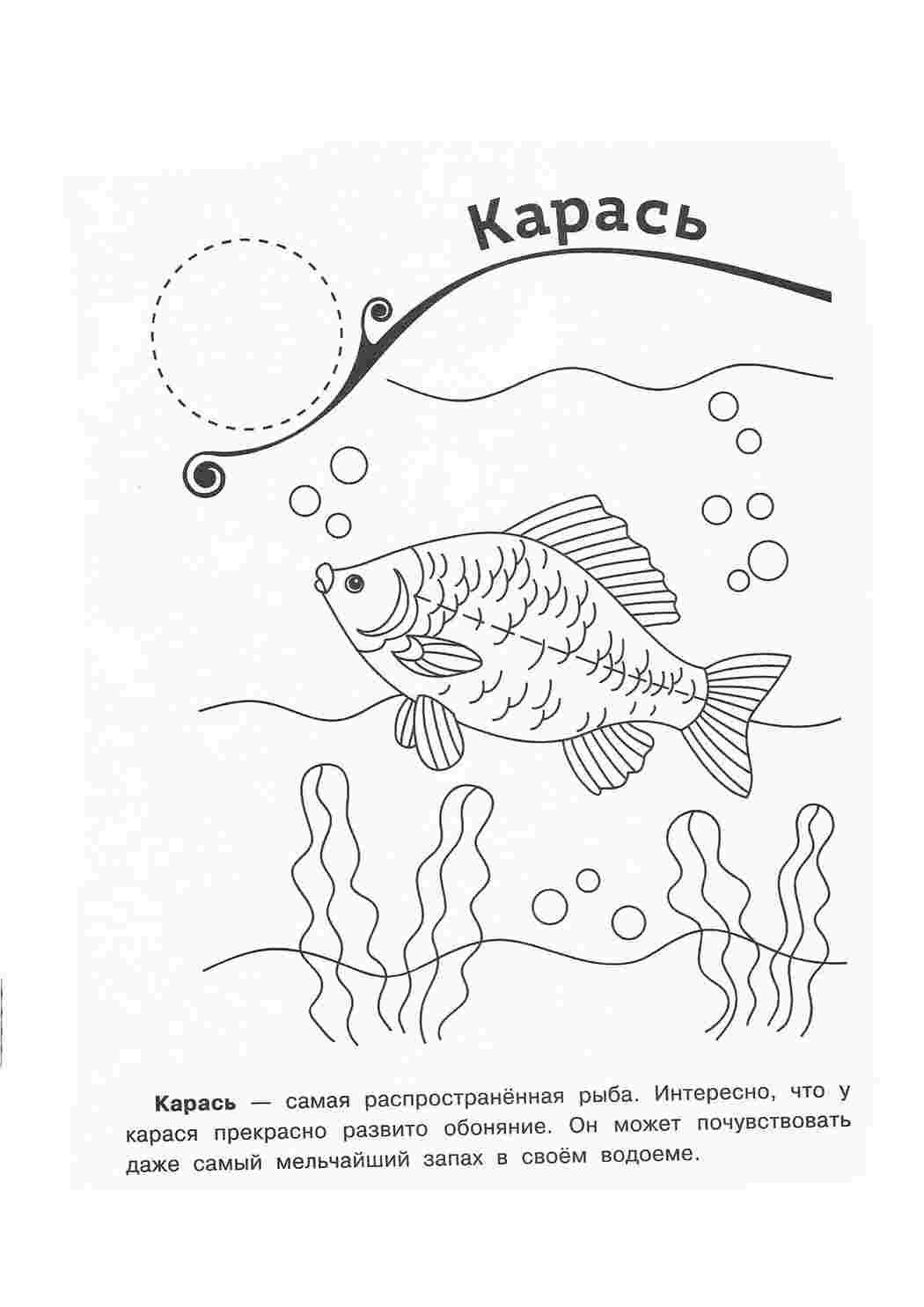 раскраски природа раскраска пруд. Интересные раскраски.