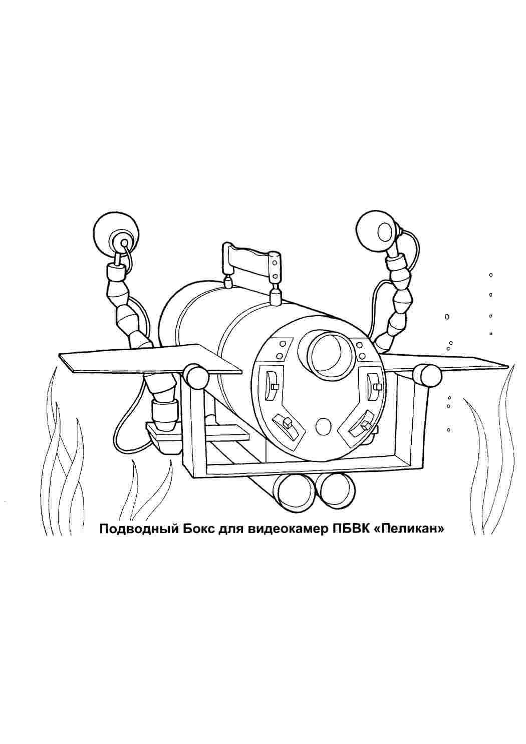 Раскраски, Подводный бокс Пеликан. Бесплатно найти раскраску., Подводный  бокс Пеликан. Хорошие раскраски., Бокс. Раскраска без регистарции., раскраска  бокс. Распечатать раскраски., Раскраска бокс. Красивые раскраски., Раскраска  бокс. Раскраска без ...