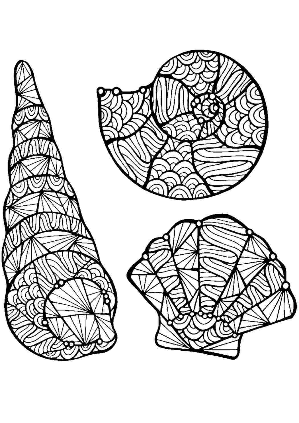 Раскраска Раскраска антистресс ракушки распечатать. Красивые раскраски.