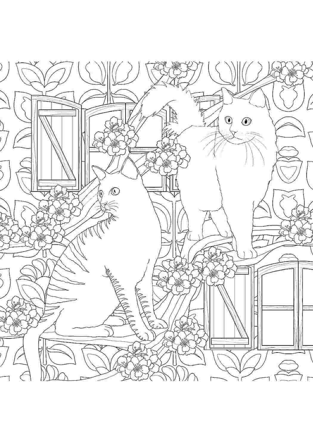 раскраска кототерапия. Лучшие раскраски.