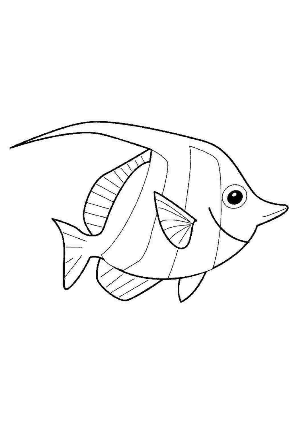 Аквариумные рыбки (раскраска)