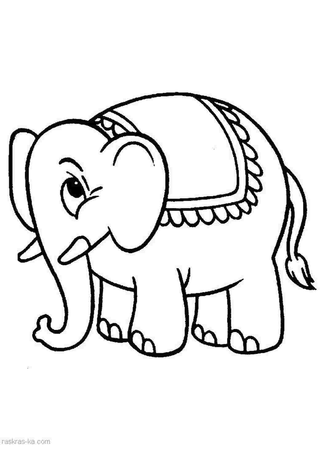 Слон животных раскраски для взрослых