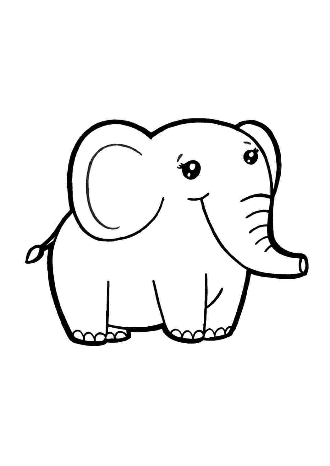 Раскраска Животные для детей 5-6 лет Большой слон. Обучающие раскраски.