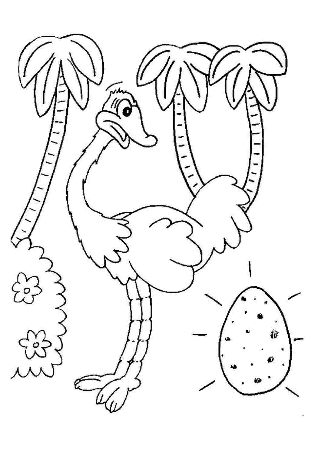 Раскраски раскраски животные раскраска страус. Разукрашки. раскраски животные раскраска страус. Раскраска.