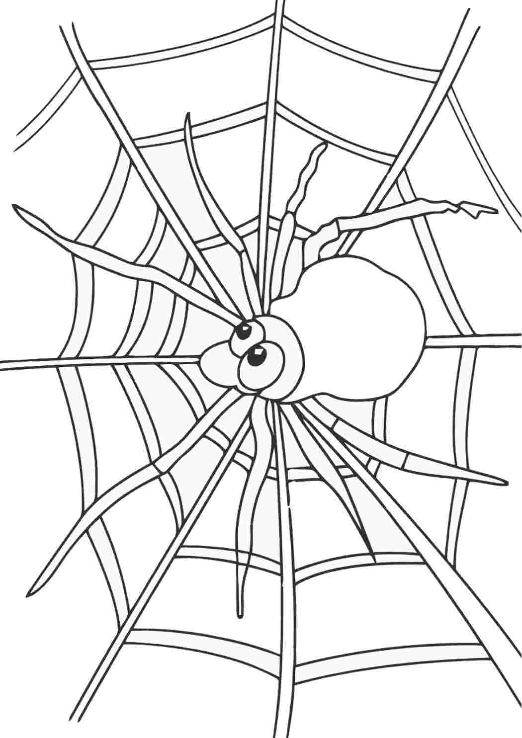 Раскраски раскраски животных раскраска паутина. Много раскрасок. раскраски животных раскраска паутина. Хорошие раскраски.