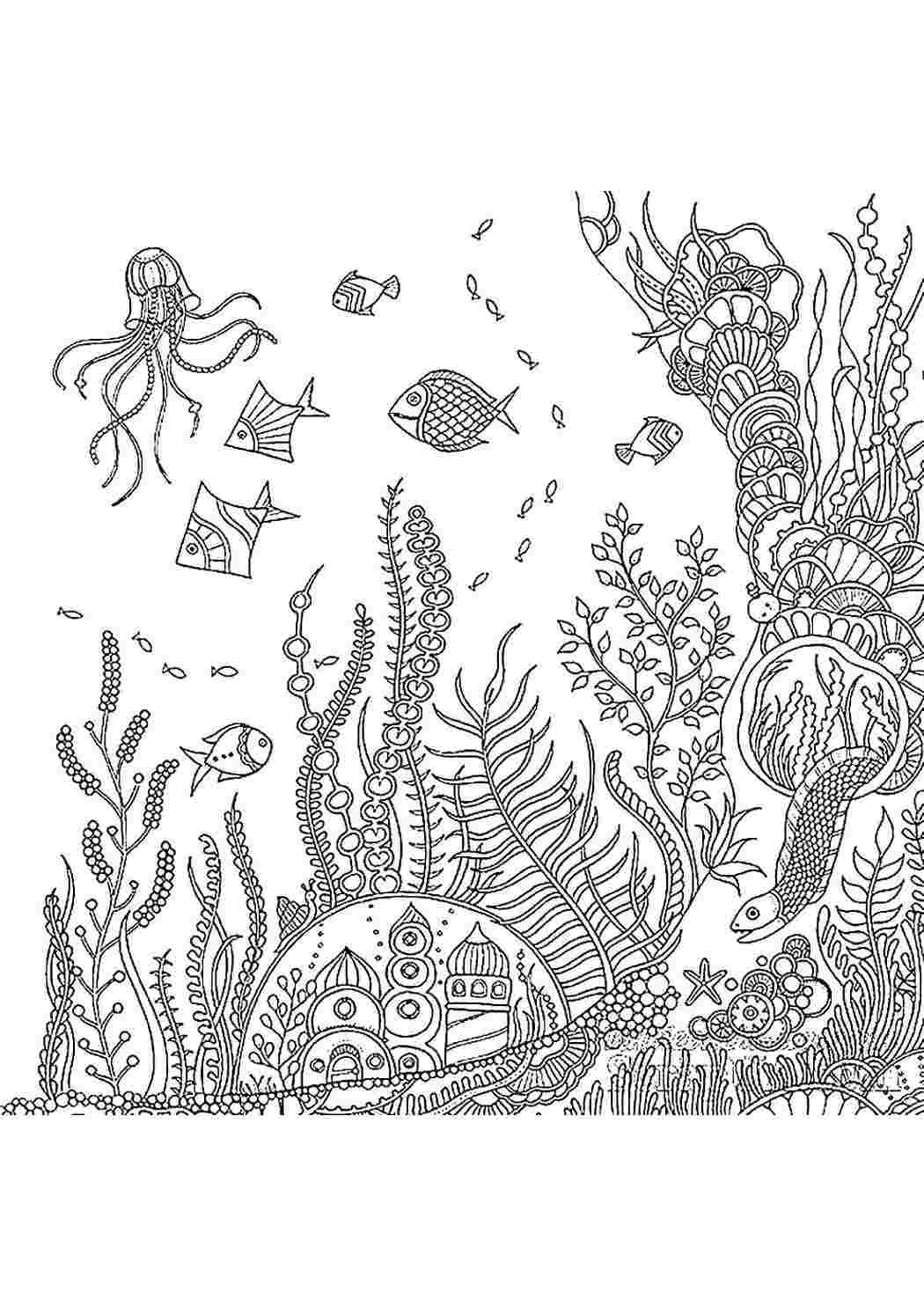Раскраски раскраска морское дно. Много раскрасок. раскраска морское дно. Онлайн раскраски.