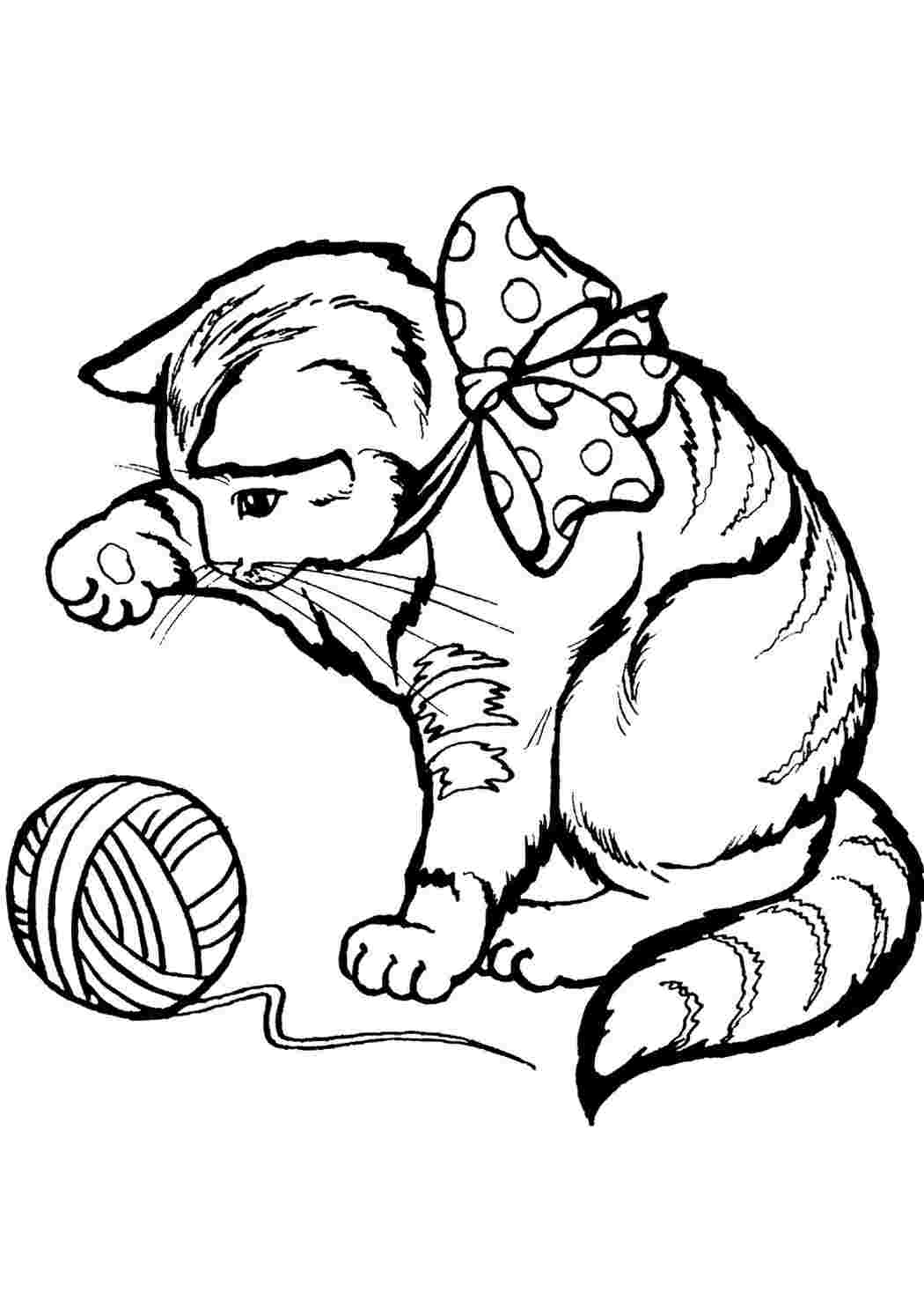 раскраска котенок с клубком. Бесплатно найти раскраску.