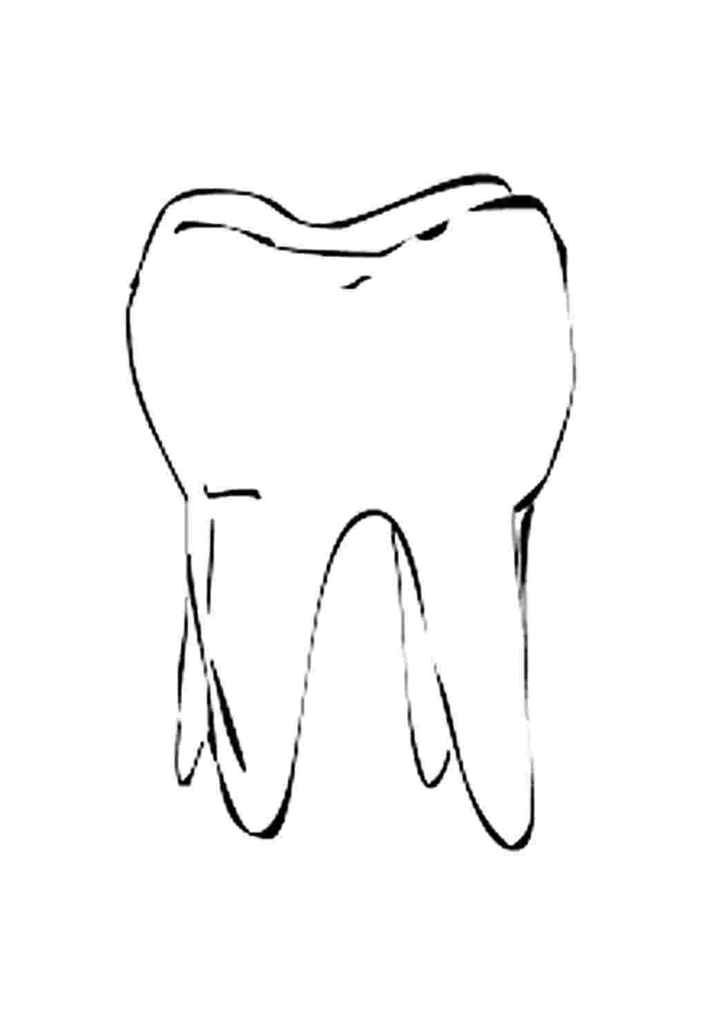 Раскраски раскраска зуб. Скачать раскраски. раскраска зуб. Черно белые раскраски.