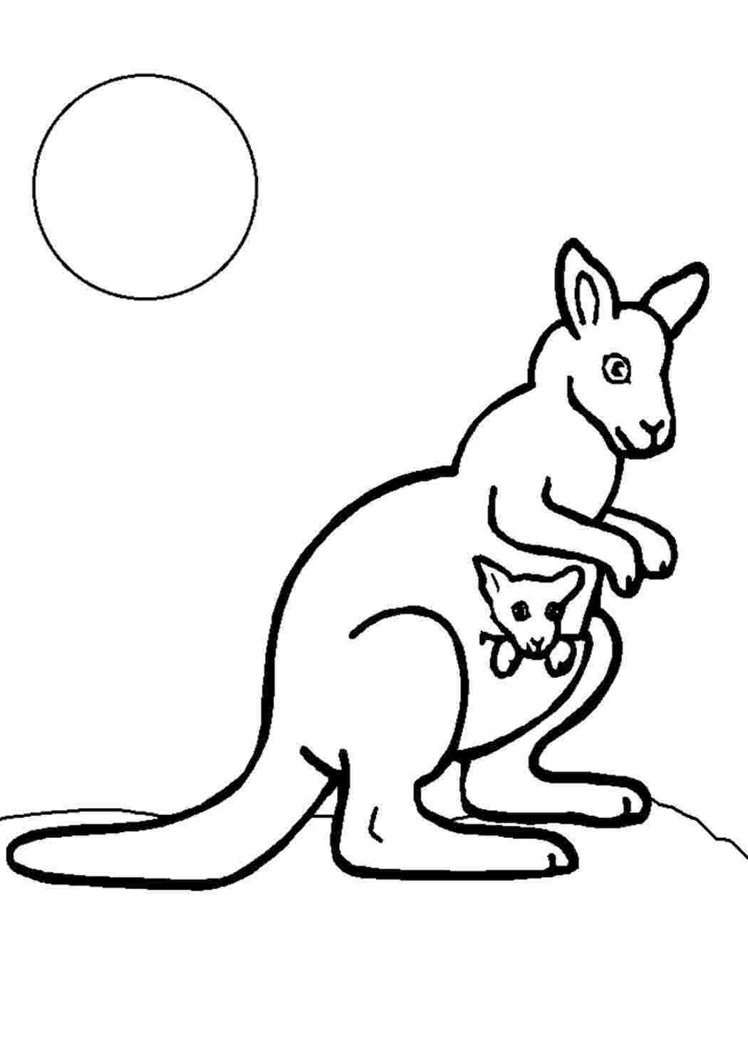 Раскраска кенгуру в Австралии