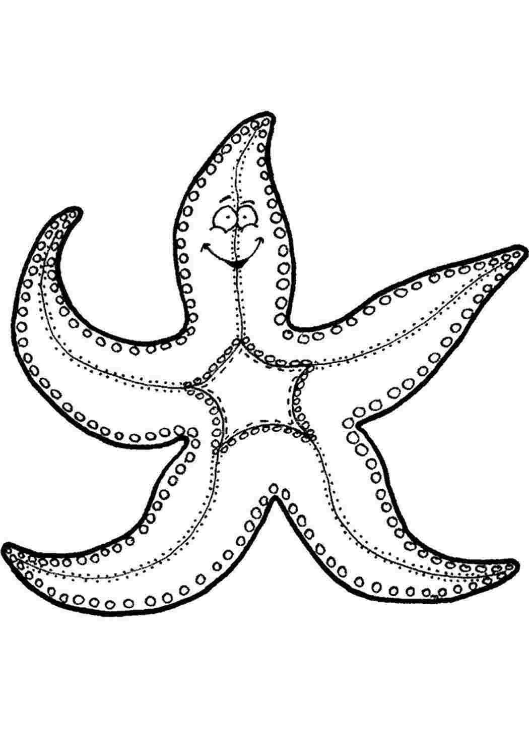Раскраски раскраска морская звезда. Сайт с раскрасками. раскраска морская звезда. Картинки раскраски.