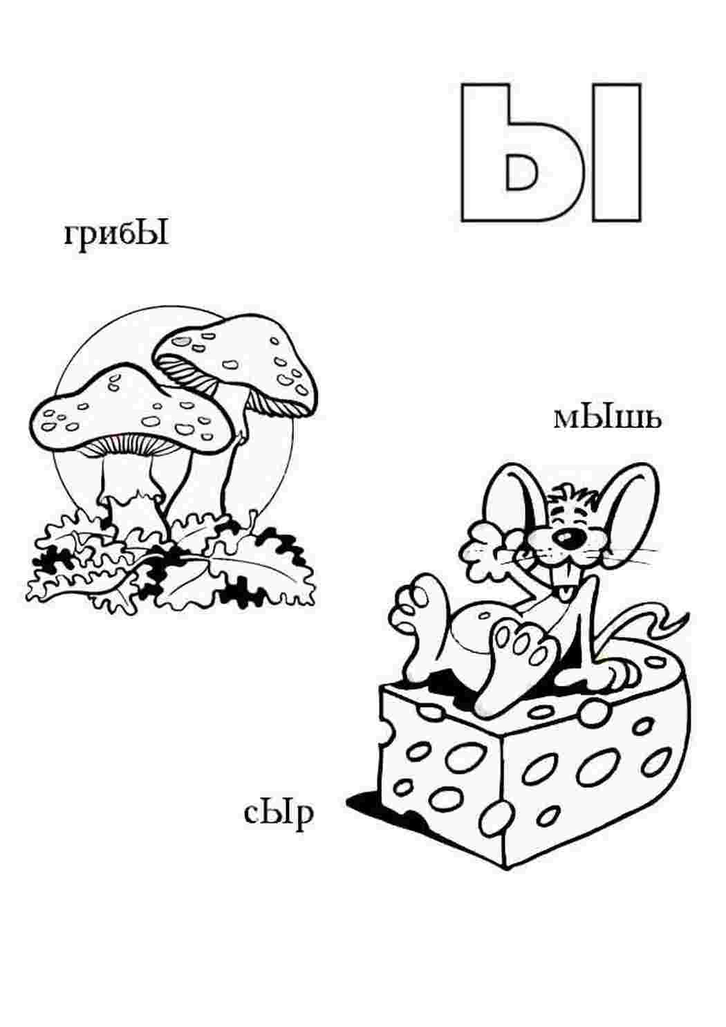 ы грибы мышь сыр. Раскраска для печати.