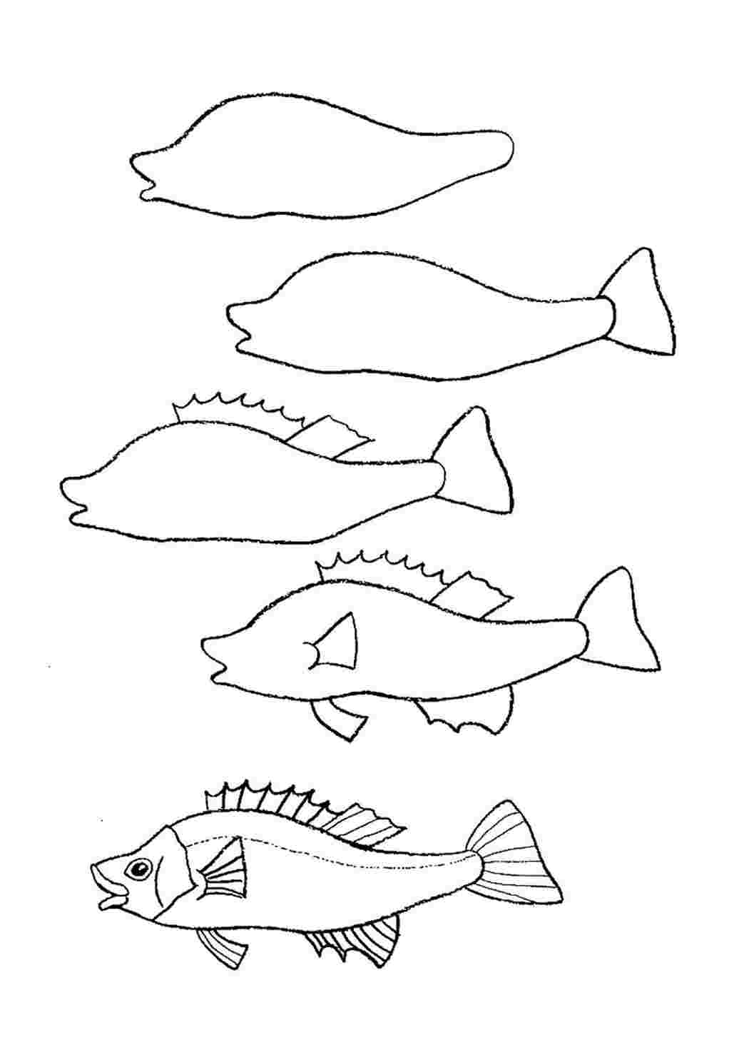 Раскраски раскраски животные раскраска окунь. Черно белые раскраски. раскраски животные раскраска окунь. Развивающие раскраски.