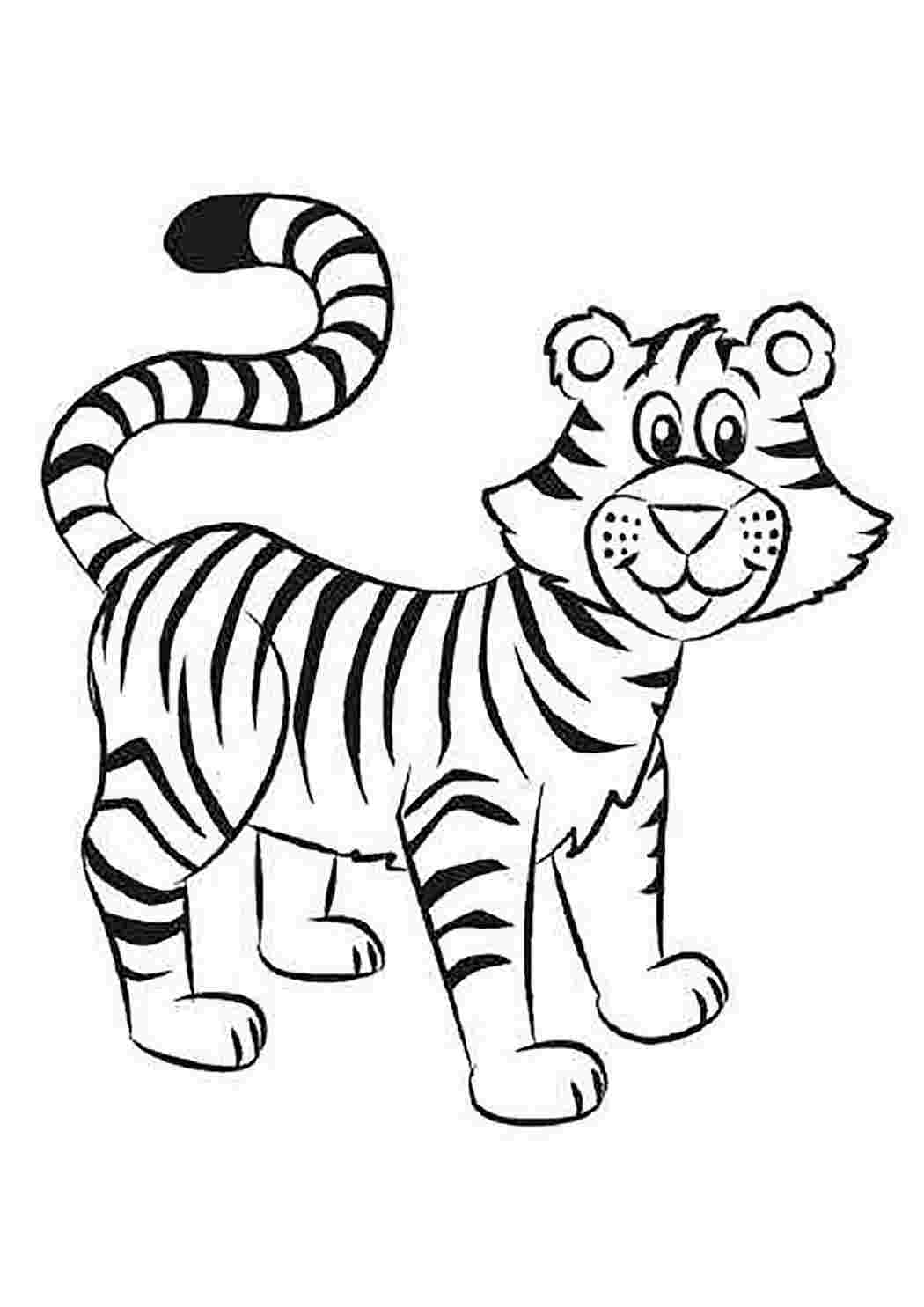 Раскраски тигры