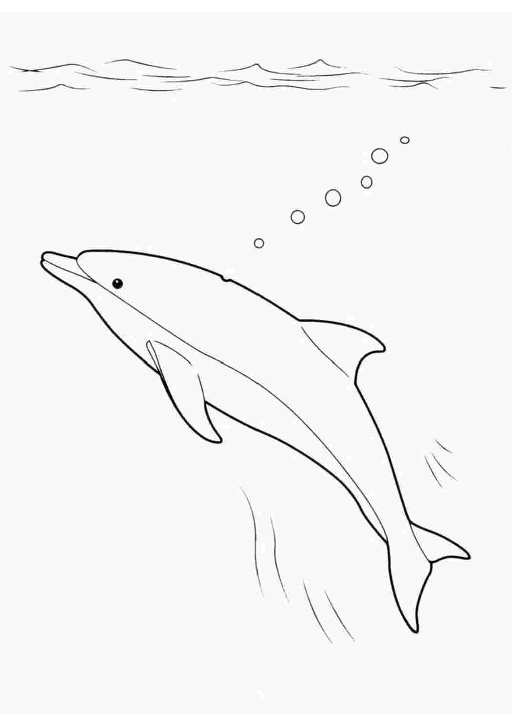 Набор для творчества LORI Картина по номерам для малышей ВЕСЁЛЫЕ КАРТИНКИ Радостный дельфин