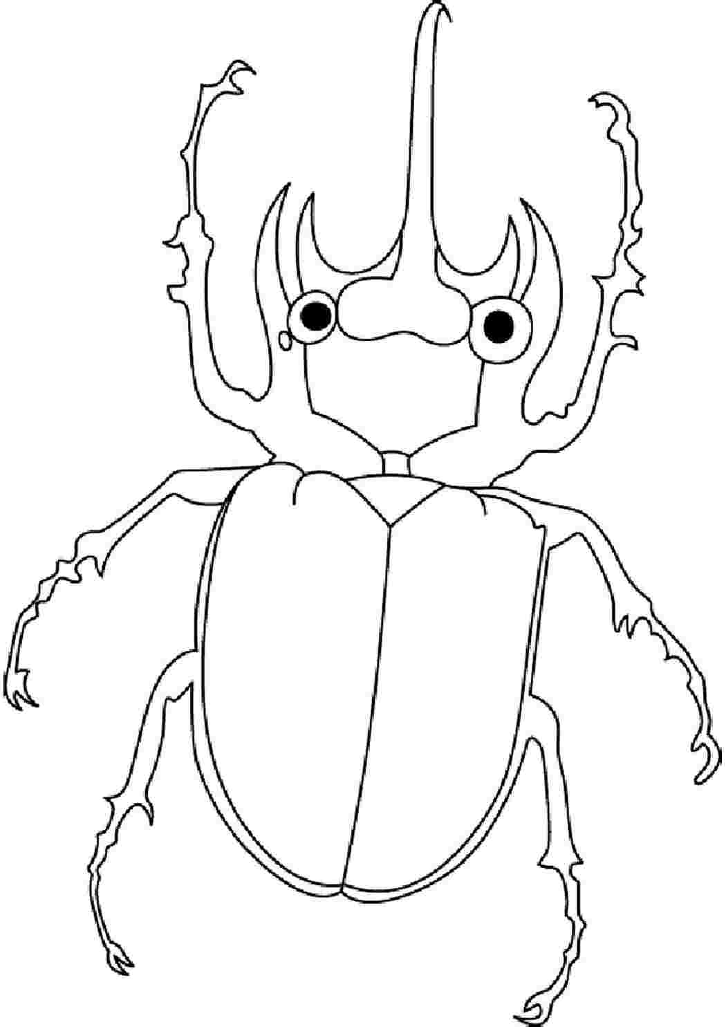 Раскраска Майский жук | Раскраски из мультфильма Дюймовочка