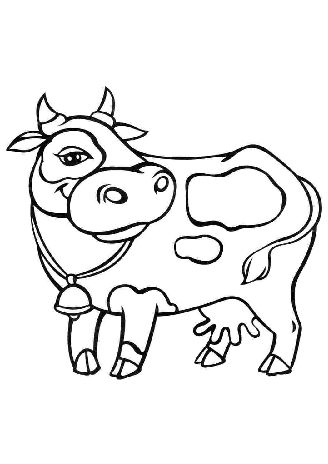 Популярное домашнее животное - корова