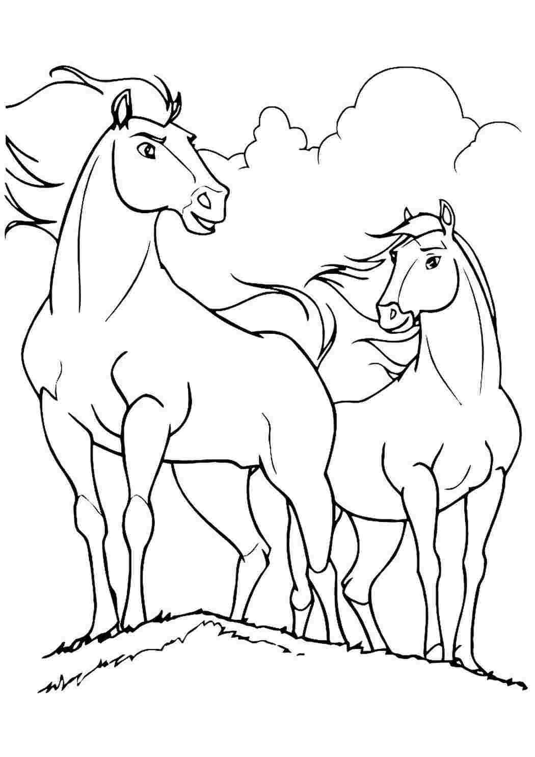 раскраски из мультфильмов раскраска спирит. Лучшие раскраски.