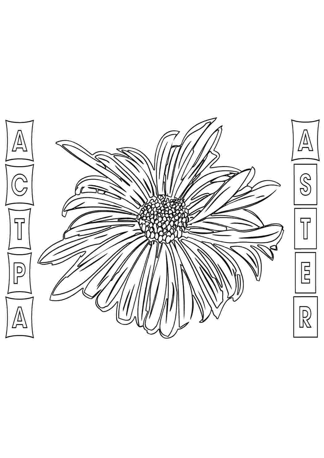 Раскраски астра природа. Раскраски без СМС. астра природа. Раскраски без СМС.