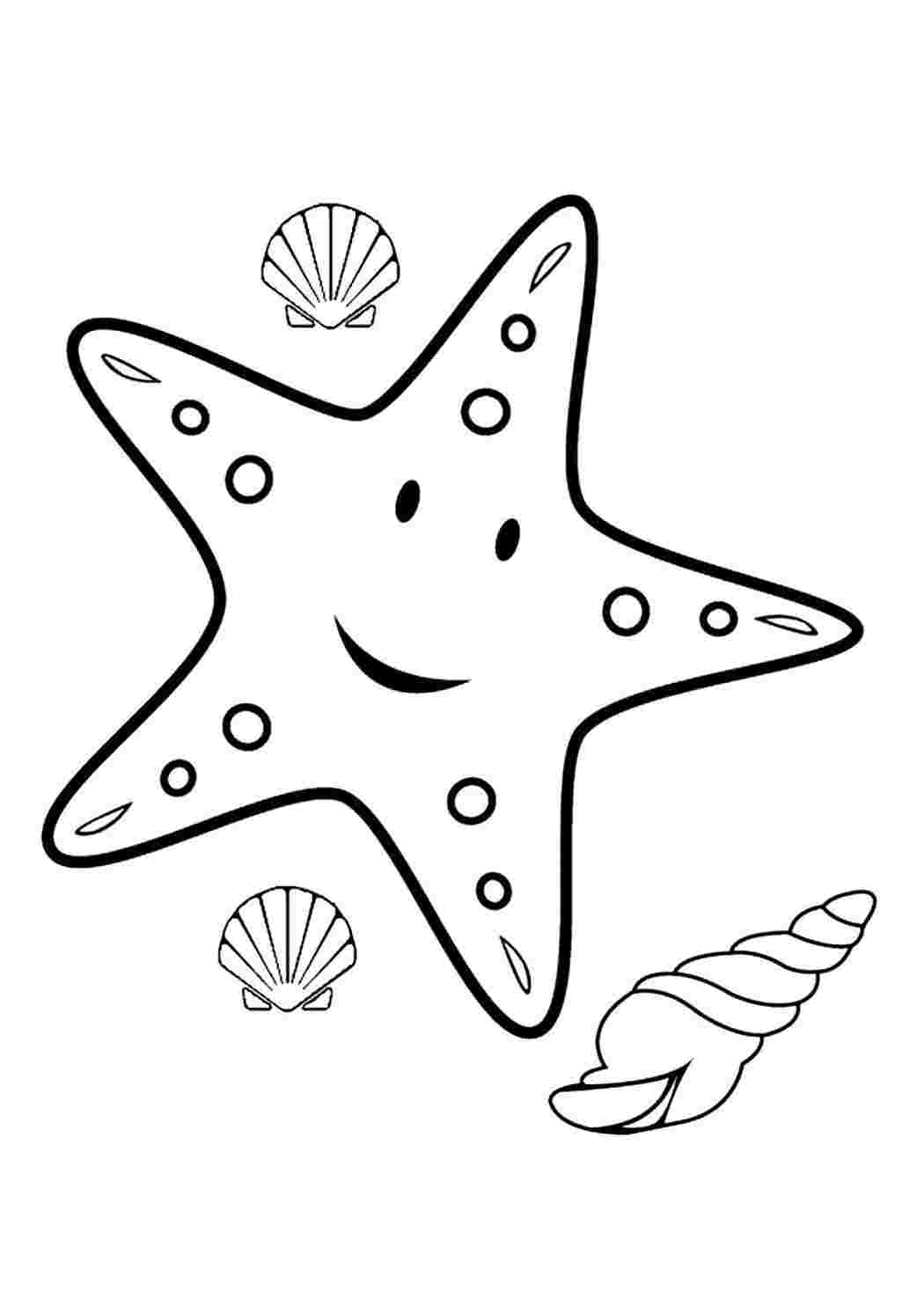 Раскраски раскраска морская звезда. Черно белые раскраски. раскраска морская звезда. Раскраски.