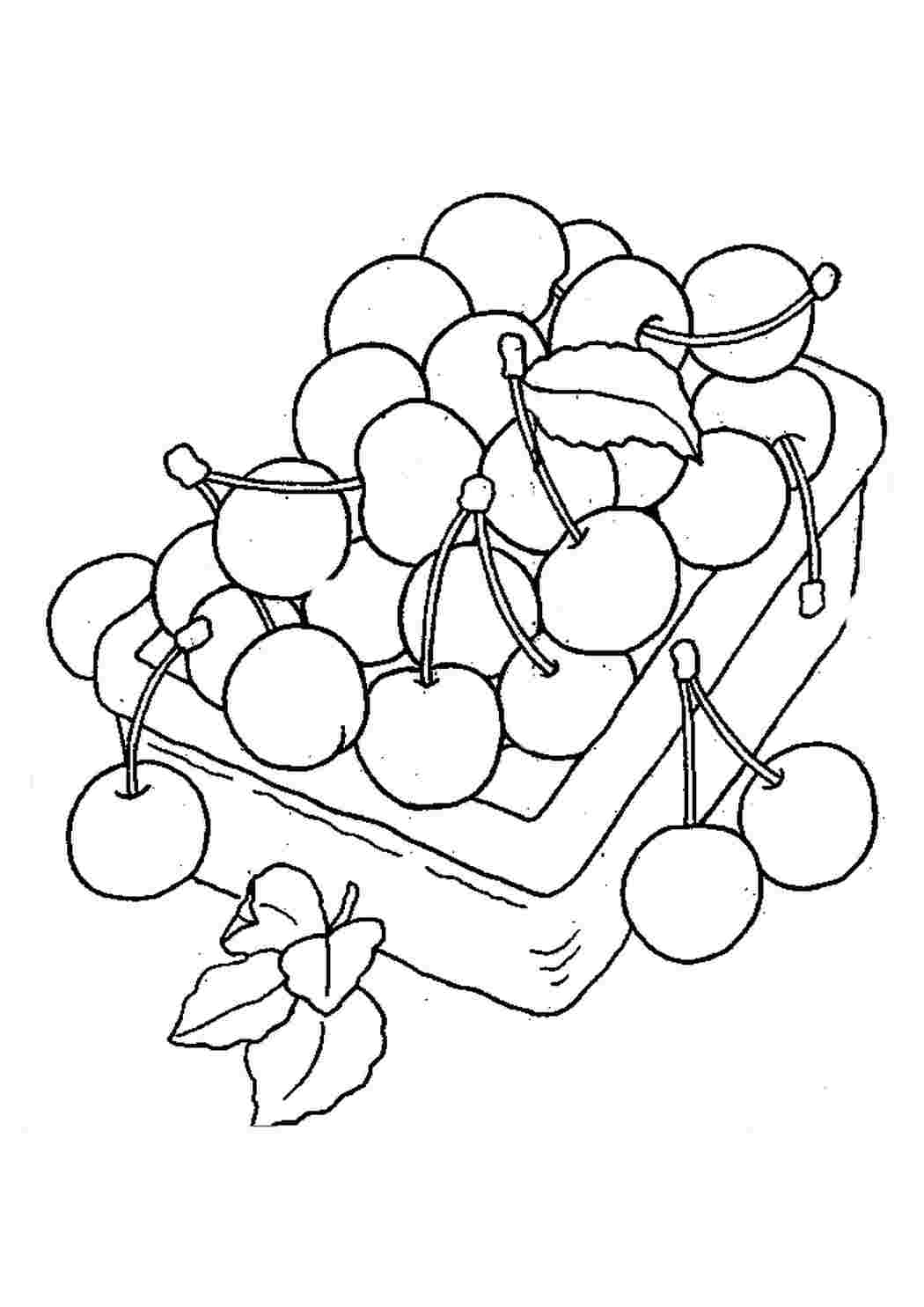 Раскраски Корзина с вишней. Раскраски для развития. Корзина с вишней. Много раскрасок.
