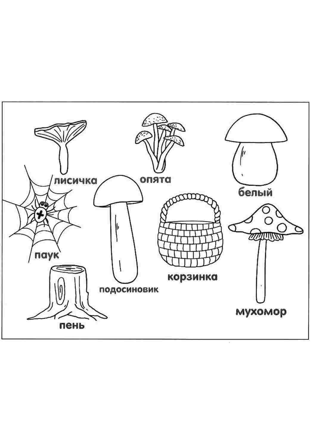 Раскраски Раскраска Раскраска собери грибочки в корзину распечатать. Черно белые раскраски. Раскраска Раскраска собери грибочки в корзину распечатать. Развивающие раскраски.