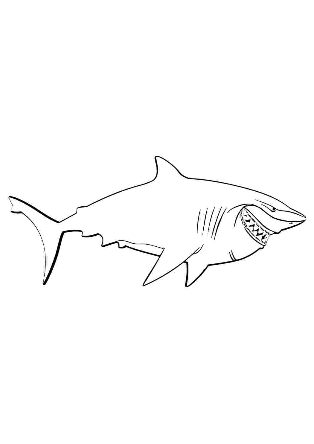 Игра Назад в школу: Книга окраски акул онлайн - играть бесплатно, без регистрации