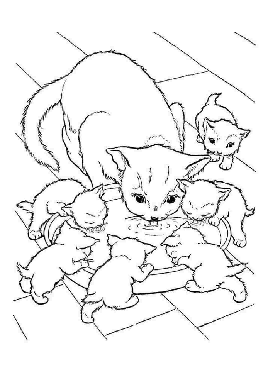 Раскраски Раскраски кошки и котята. Сайт с раскрасками. Раскраски кошки и котята. Обучающие раскраски.